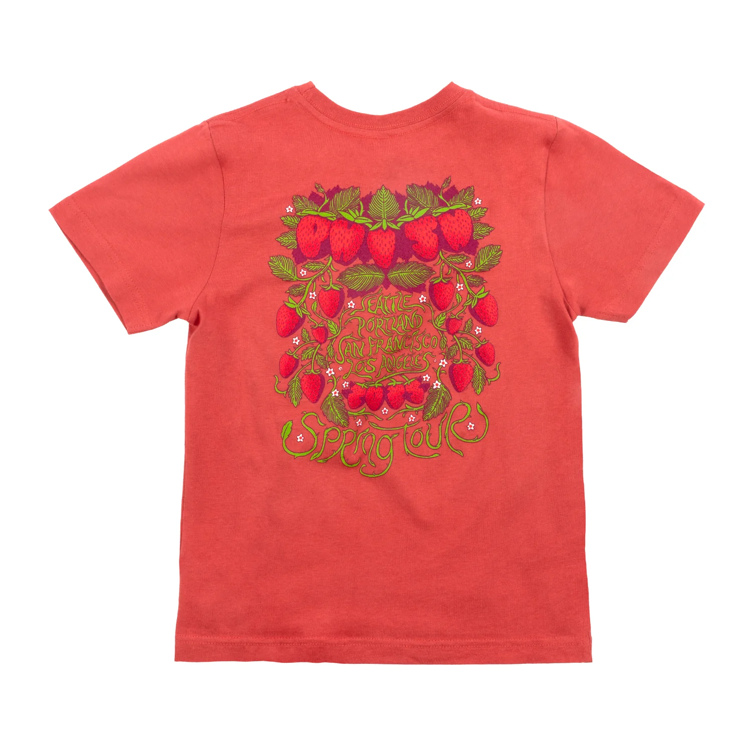 Strawberry Jam Spring Tour Youth Tee - Image 3